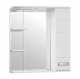 Зеркало-шкаф для ванной Style Line Ирис 75/С белый (ЛС-00000020)  (ЛС-00000020)