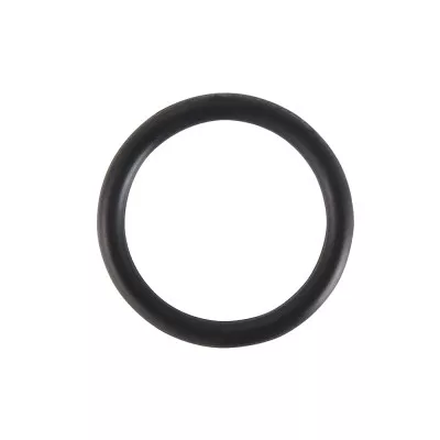 Уплотнительные кольца 20мм из FPM («Витон», Viiton) VALTEC (VTi.990.I.000022)