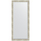 Зеркало настенное Evoform Exclusive 161х71 BY 1209 с фацетом в багетной раме Алюминий 61 мм  (BY 1209)