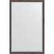 Зеркало настенное Evoform Exclusive 171х111 BY 1214 с фацетом в багетной раме Палисандр 62 мм  (BY 1214)